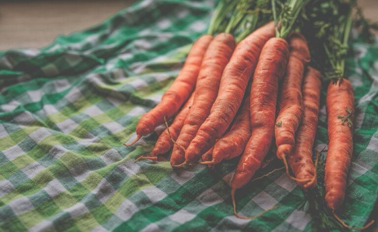 Vitamin A in Carrots: Powerful Benefits for Vision, Skin, and Immune Health
